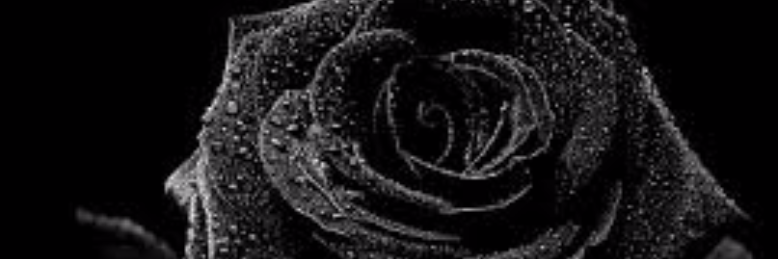 Cover image for post Never First Choice, by vhutchy