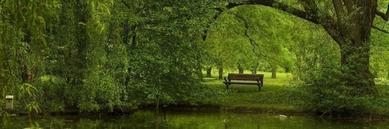 Cover image for post My Mind's Collective, by HauntedEquinox