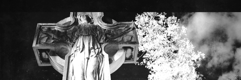 Cover image for post For Who We Were, by Poets_Quill