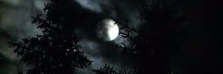 Cover image for post wind, by wordSwork