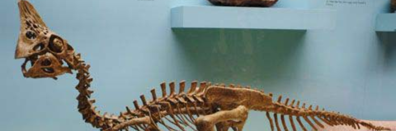 Cover image for post Egg Thief or Good Mother, by Harry_Situation