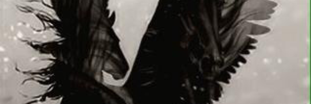 Cover image for post "How Long Are You Going To Stay In Your Little Fantasy World?", by Rev_Frenchie