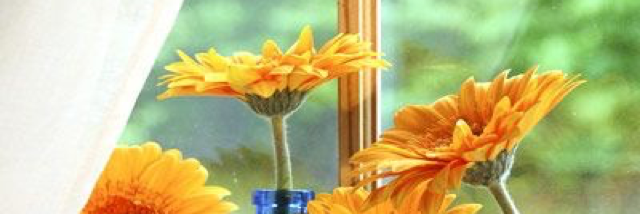 Cover image for post Some where in Time~, by Dulcita