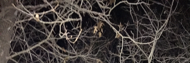 Cover image for post Heart's Anchor, by Kailatba