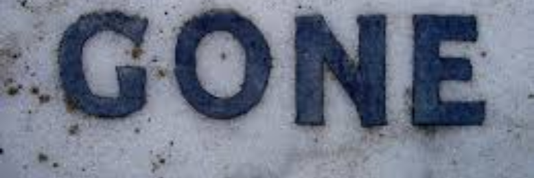 Cover image for post Jake Is Gone, by sandflea68