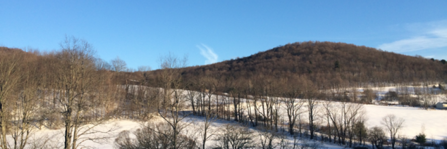 Cover image for post Peepers sing, by Jessica