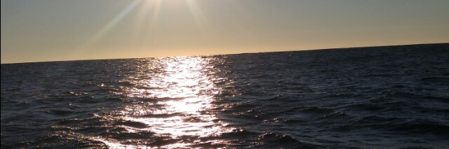 Cover image for post Haiku #7, by Iran_Adams