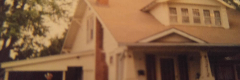 Cover image for post Cracks the in Plaster, by erinlg57