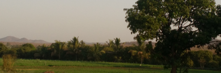 Cover image for post The Morning Sounds, by Vibha