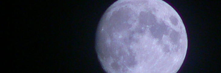 Cover image for post In the Park, by HopeMartin