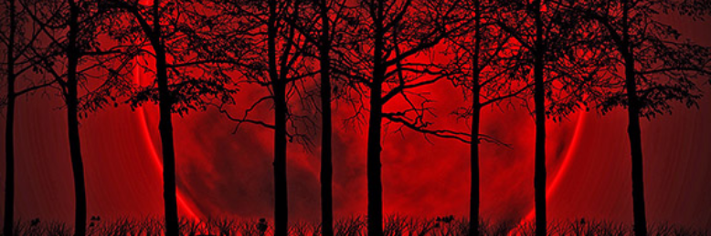 Cover image for post Occult Blood, by BHowardThinks