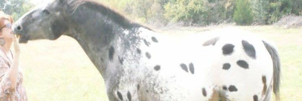 Cover image for post Untitled, by Vyxyn