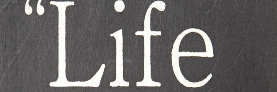 Cover image for post C'es La Vie, by Vyxyn