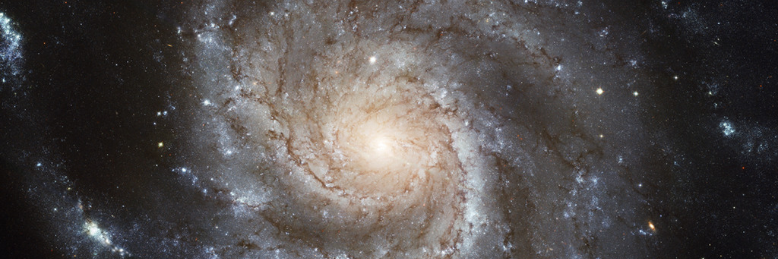 Cover image for post Unchained spirit, by DavidMark