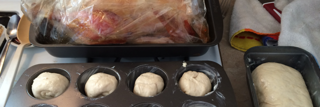 Cover image for post Thursday November 27, by MeganDaGata