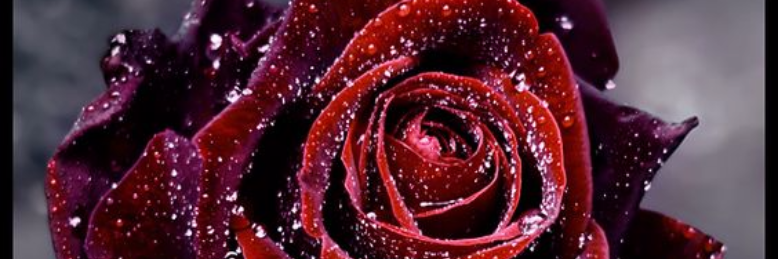 Cover image for post L'étreinte du Désir, by Aiz