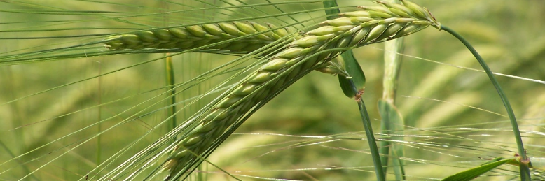 Cover image for post Lost eloquence, by DavidMark