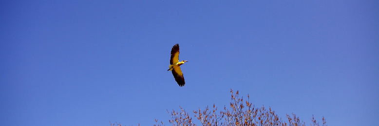 Cover image for post Embers of Time, by ThereseKravetz