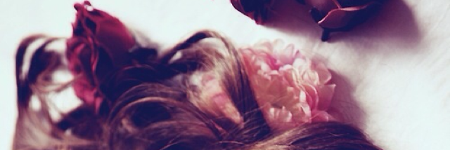 Cover image for post phoenix heart, by excelestial