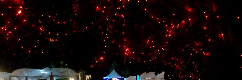 Cover image for post Colonists - Leader, part 5, by jim_survak