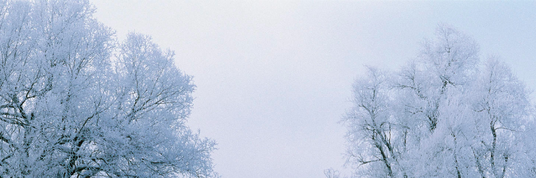 Cover image for post If I Were You, by tictac