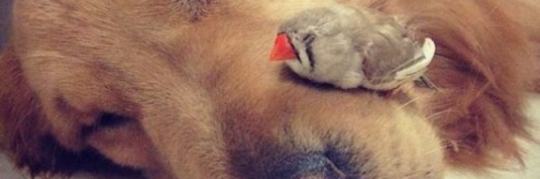 Cover image for post To Procrastination, by Pineal_Prophet