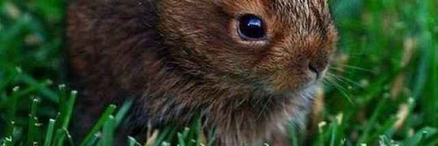 Cover image for post a list in no order at all, by unspecific