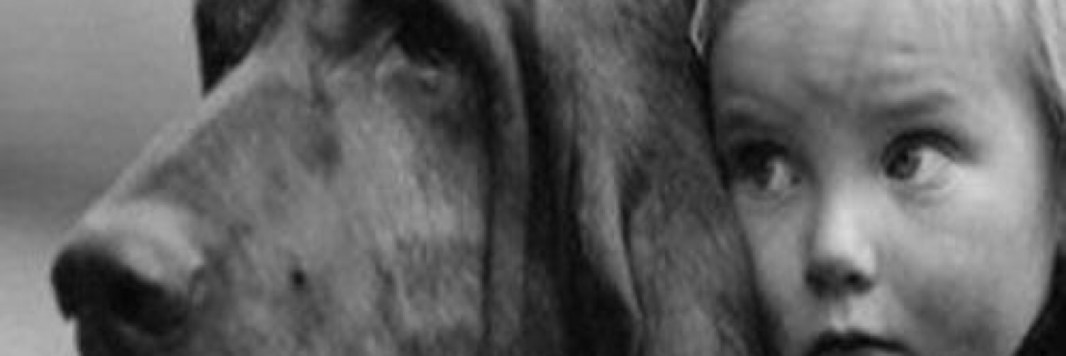 Cover image for post So Many, by Vyxyn