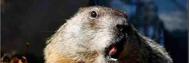 Cover image for post What, by Gymnastics