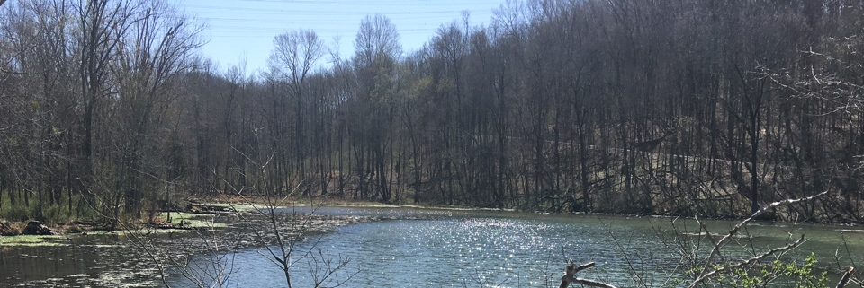 Cover image for post A Piece of You, by ALifeWitArt