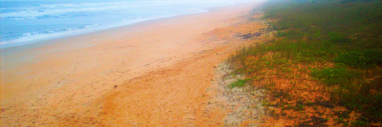 Cover image for post Naked Peace, by sandflea68