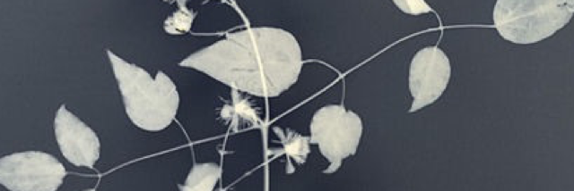 Cover image for post God, by DougWinter