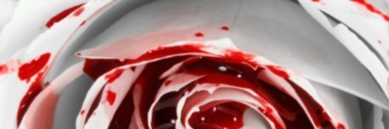 Cover image for post A Cautionary Tale, by nfaulk6