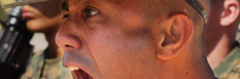 Cover image for post Viva Voce, by BHowardThinks