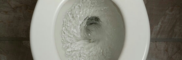 Cover image for post Vowel Movements, by trinaverbena