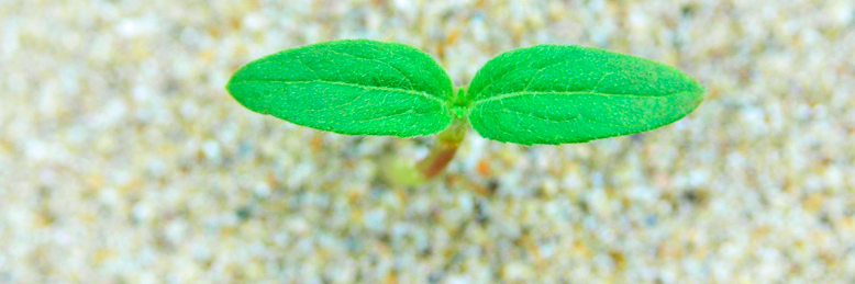 Cover image for post You are death-defyingly, unquantifiably, undeservedly, logic-denyably, unredemptably, inconscionably, dishwasher emptyingly:, by DavidMark