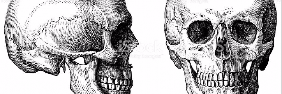 Cover image for post Poison, by Hell4heart