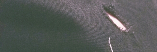 Cover image for post These Pants, by dMarie