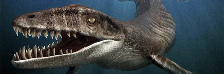 Cover image for post North American Dragon, by Harry_Situation