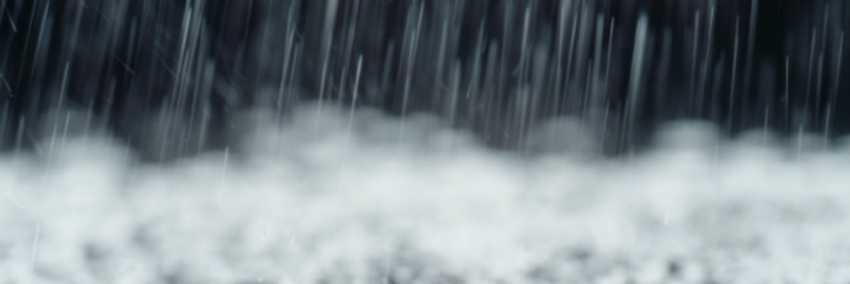 Cover image for post Sadness Shower, by Erin