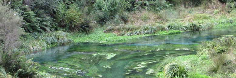 Cover image for post Life ...., by Turakina