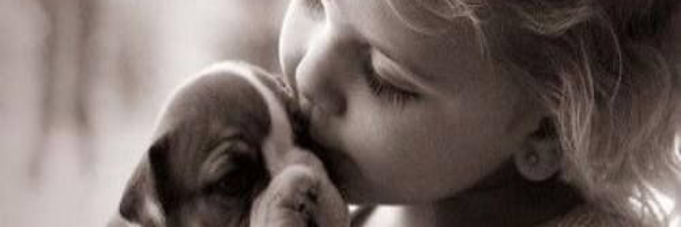 Cover image for post Untitled, by Vyxyn