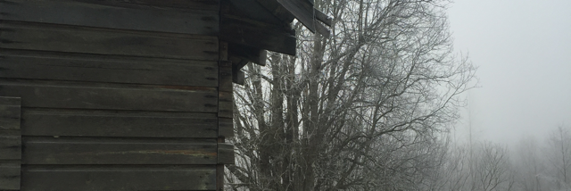 Cover image for post A Mother, by Taylormade3791