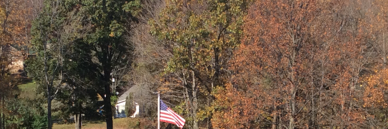 Cover image for post The leap, by grace98