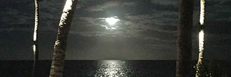 Cover image for post Midnight Sunburn, by sandflea68