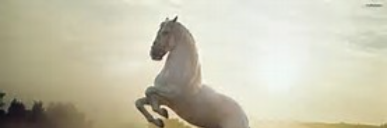 Cover image for post Monsters or horses, by grace98