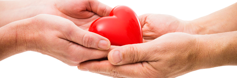 Cover image for post Organ Donor, by sandflea68