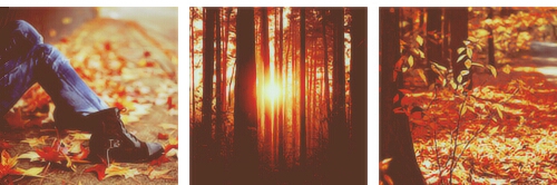 Cover image for post Autumn's beauty., by SSKaitlyn