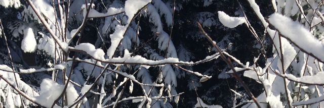 Cover image for post inspiration..., by paintingflowers