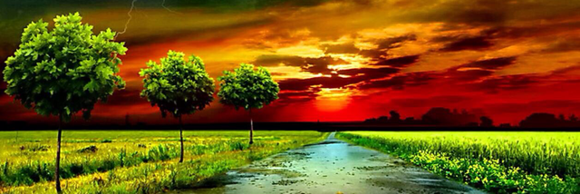 Cover image for post I don't know, by Tereza